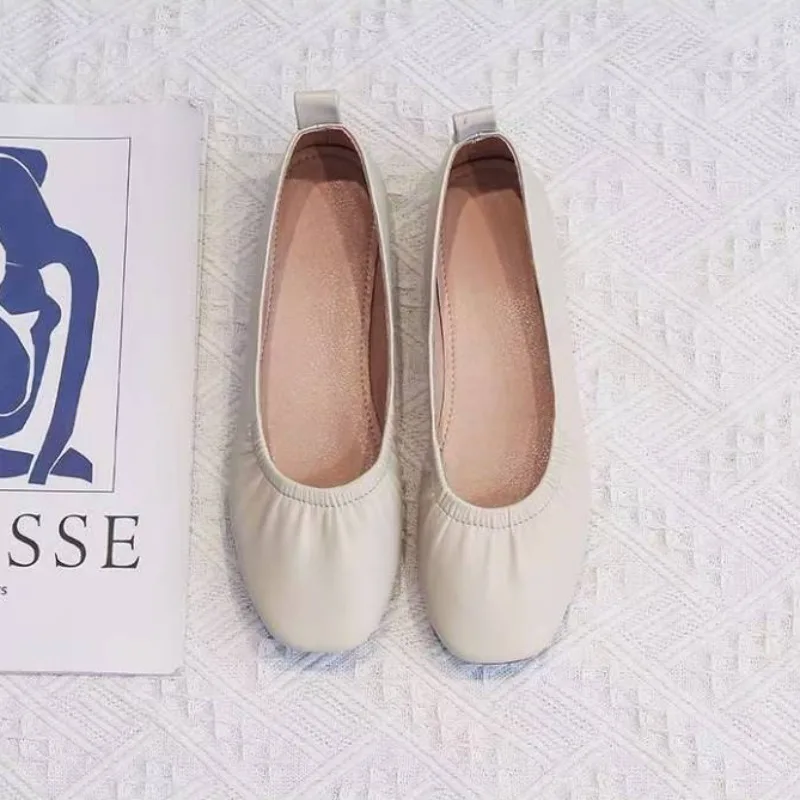 Korean Style Ladies Footwear C - đánh giá và giá Women Shoes Quick Delivery